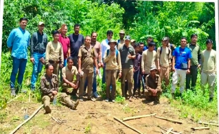 Assam forest personnel found safe