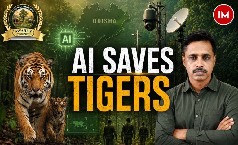 How Science, Intelligence and Community Power Are Giving Similipal’s Tigers a New Lease of Life