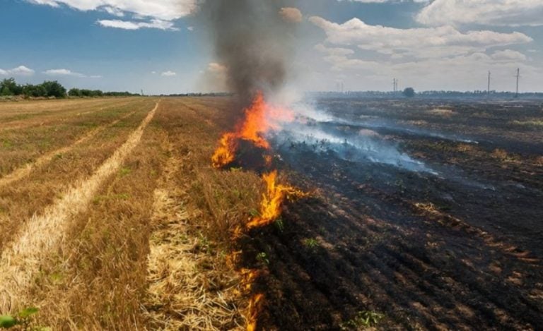 Punjab Stubble Burning