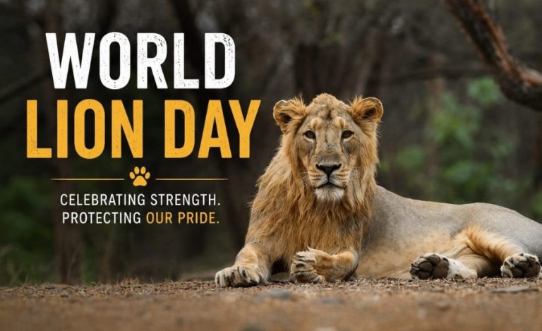 World-Lion-Day