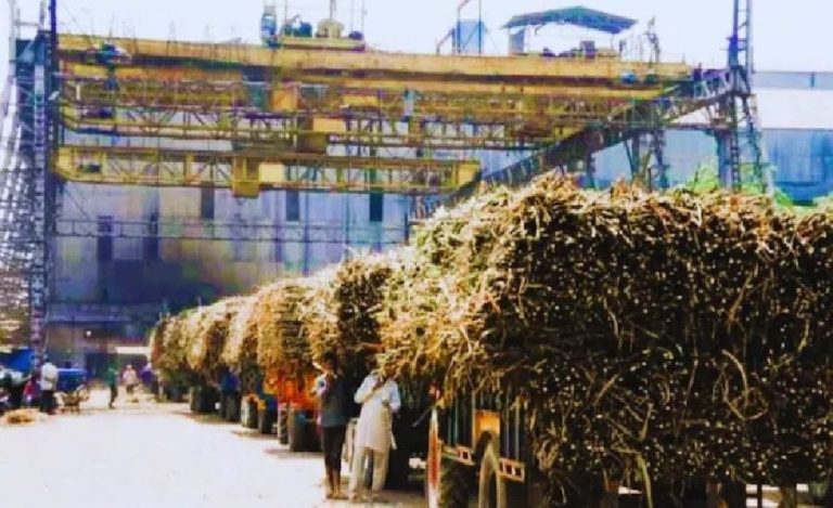 bihar sugar industry