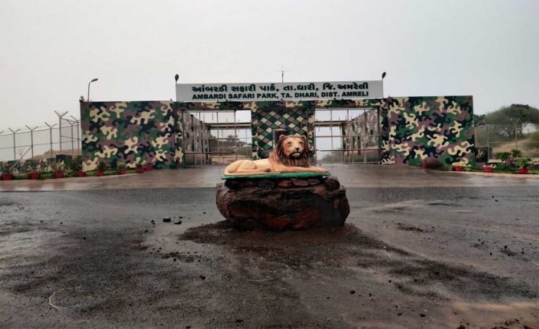 Ambardi Safari Park