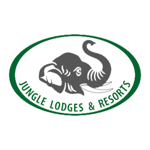 5 Jungle-Lodges