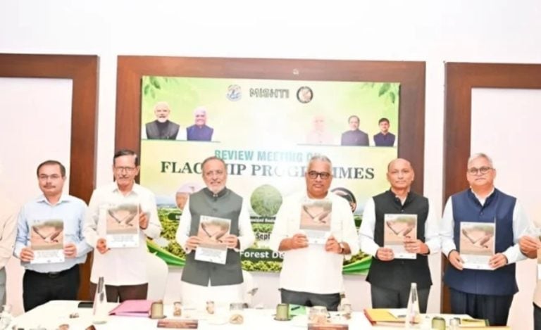 Bustard Conservation Gujarat Feature