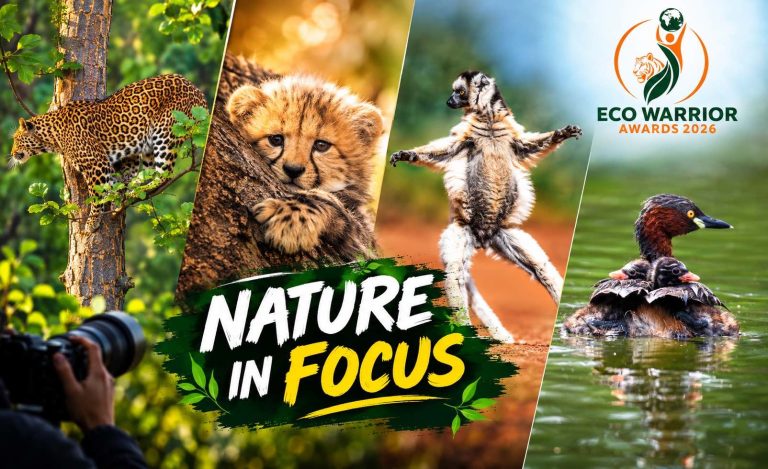 Eco Warrior Awards 2026: When Civil Servants Turn Wildlife Into Art