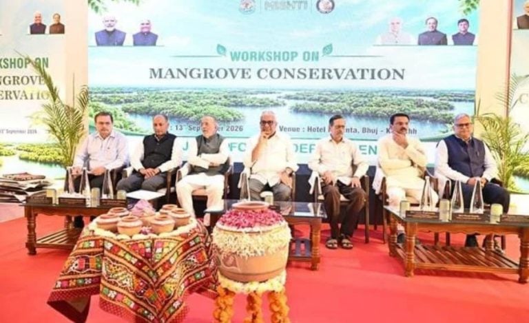 Gujarat mangrove restoration Feature