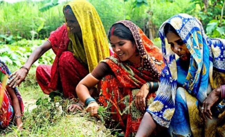 UP Women Workforce