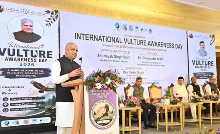 Vulture Awareness Day