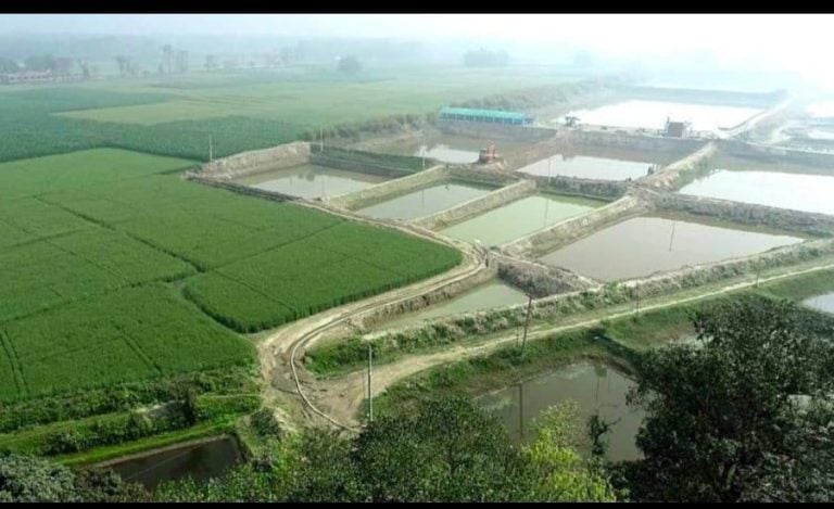 bihar chaur land