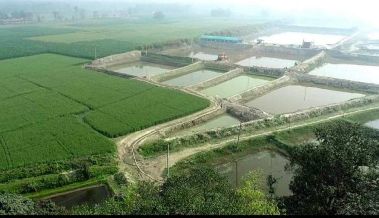 bihar chaur land