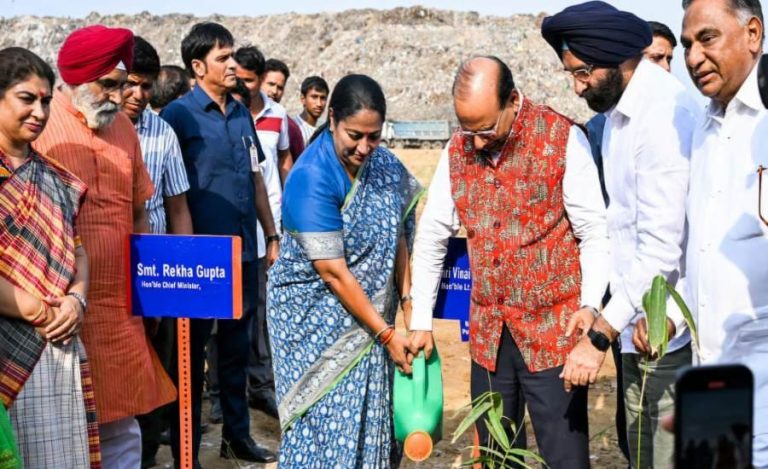 plantation delhi