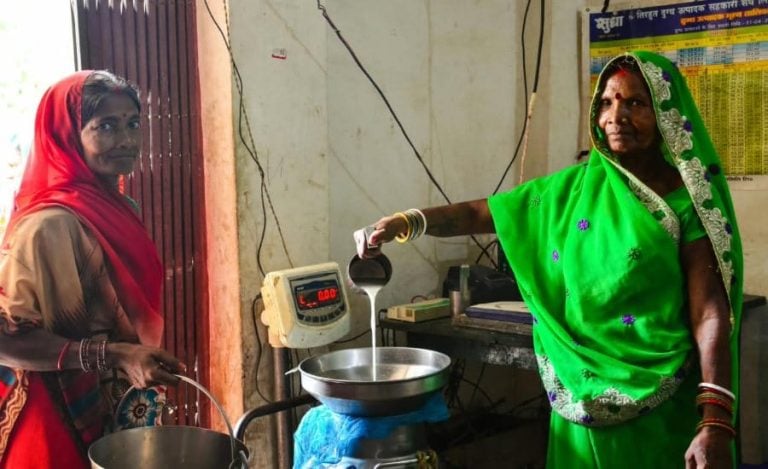 Bihar jeevika dairy sector 2