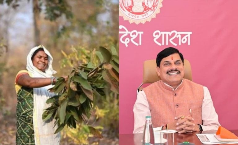 Madhya Pradesh Tendu Leaf Collectors Bonus