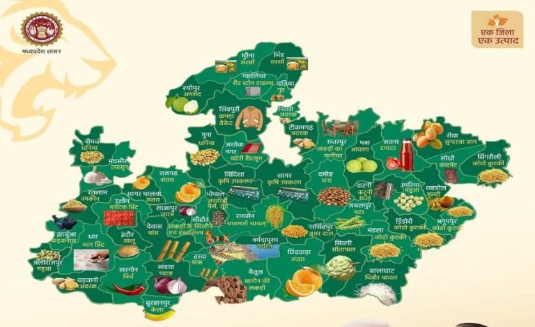 One-District-One-Product-Madhya-Pradesh-900x550