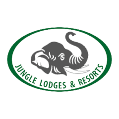 5 Jungle-Lodges